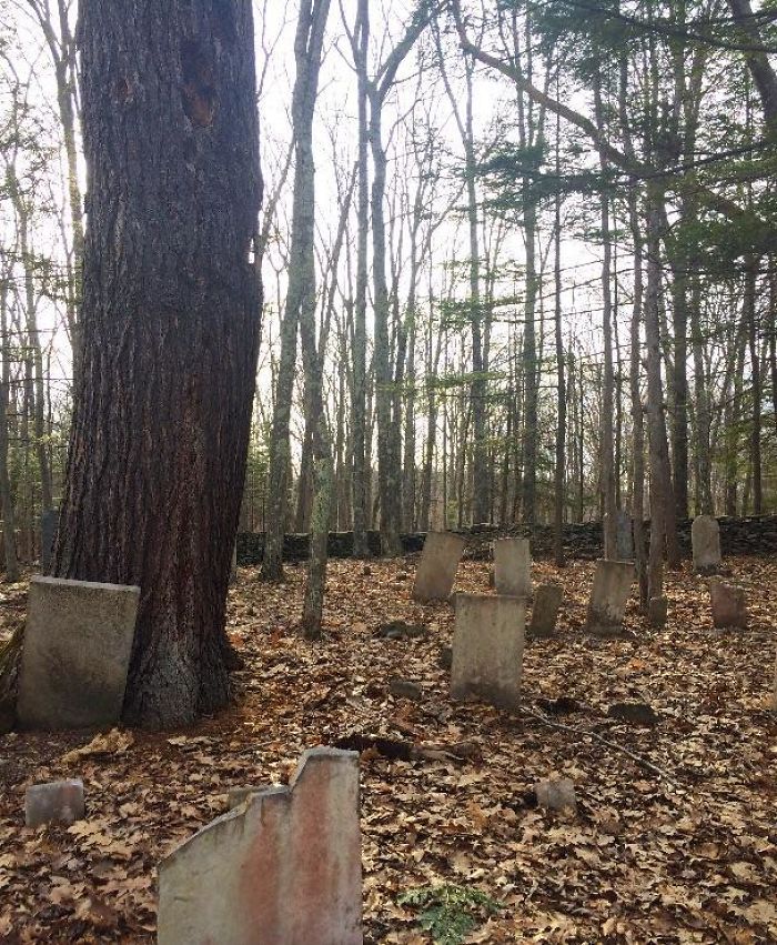 This Old Graveyard I Found In The Woods Behind My New House