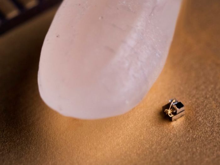 World's Smallest Computer Compared To A Grain Of Rice