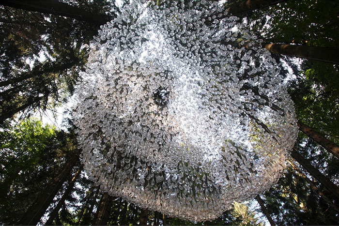 Rainwater 'Chandelier' Installation Can Collect Up To 800 Pounds Of Water