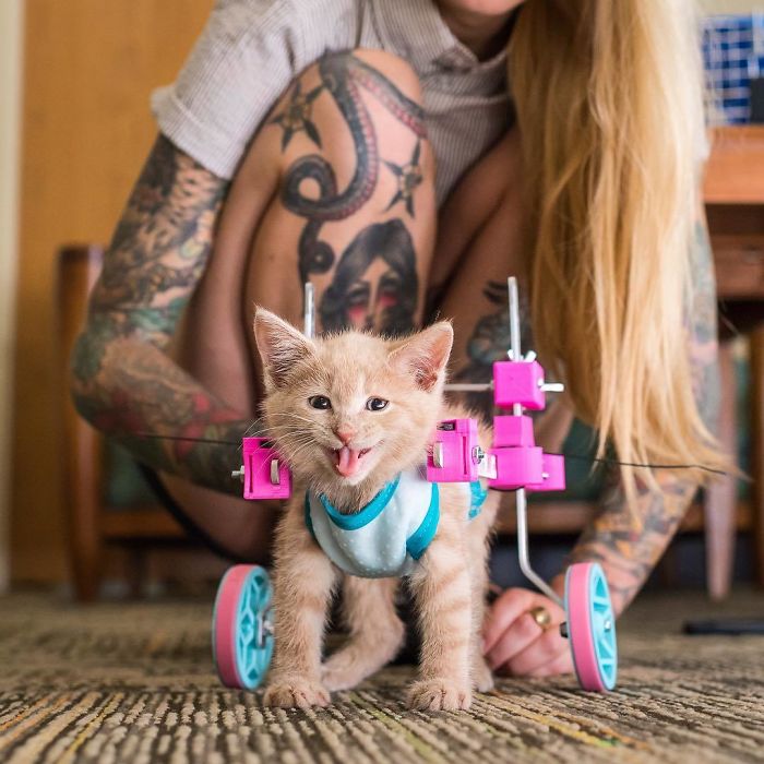 Chloe's 3D Printed Walking Assistant