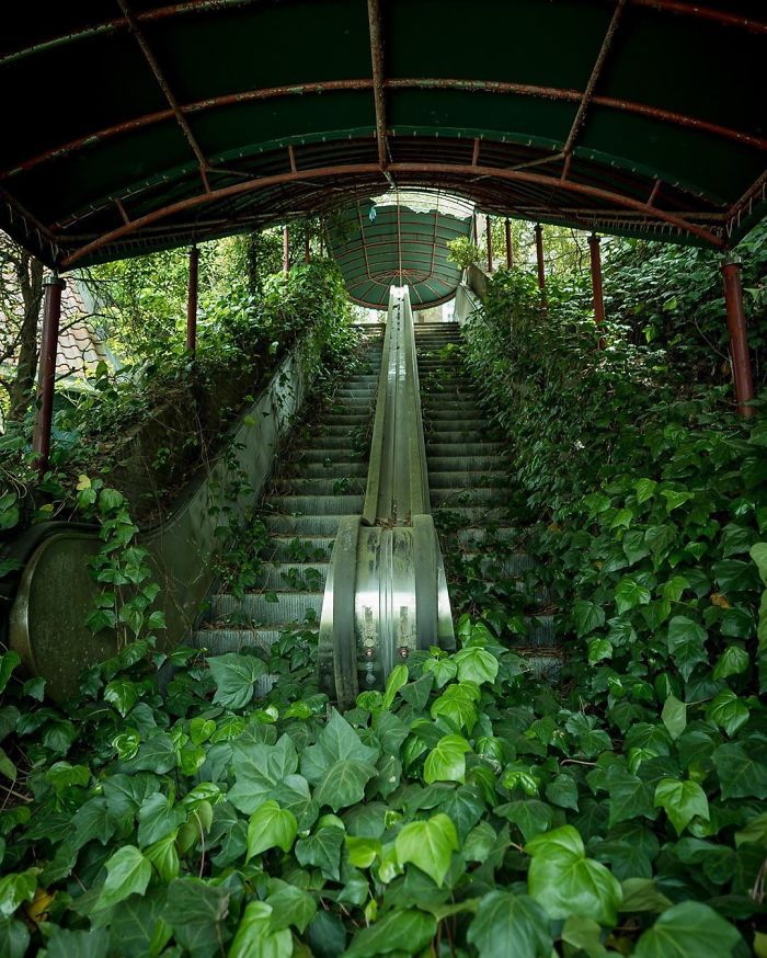 Destined To Be Green. Abandoned Escalator