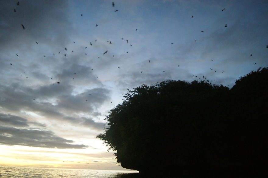 I Went To Fakfak To Enjoy The Beach, Cave, And Saw Bats