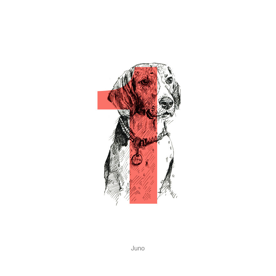 Dog Alphabet Number Two, That I Made From The First Letters Of Their Breeds