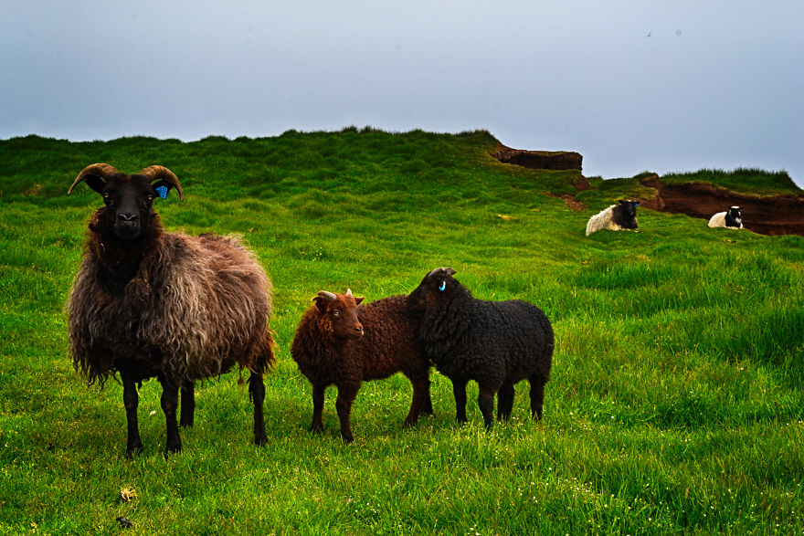 I Spent Five Weeks In Iceland, My Heart Has Never Left