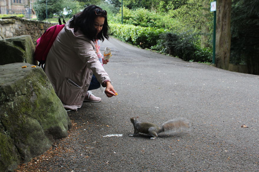 Hazelnut And Squirrels At Dunfermline