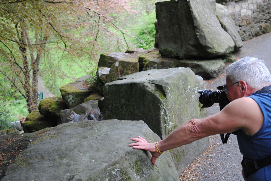 Hazelnut And Squirrels At Dunfermline