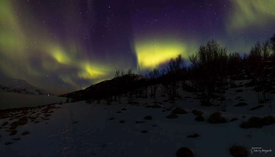 I-photographed-the-beauty-of-Tromso-in-3-days-and-3-nights-5cd71ada7c7d7__880.webp