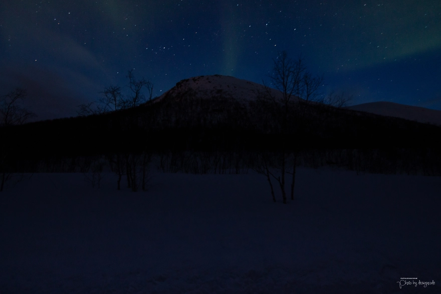 I-photographed-the-beauty-of-Tromso-in-3-days-and-3-nights-5cd7b3471aea1__880.webp