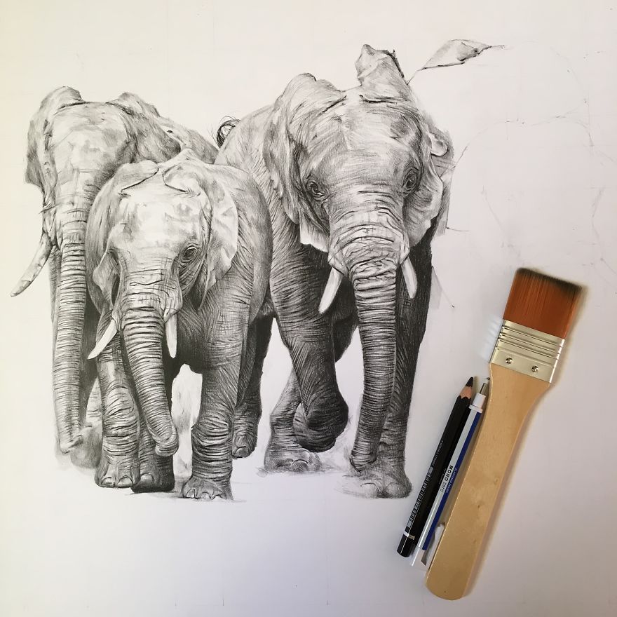 One Pen And One Month Later: Drawing My 5 Elephants