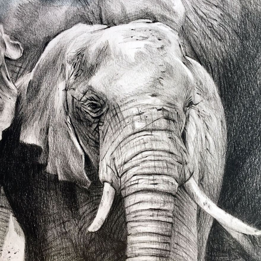 One Pen And One Month Later: Drawing My 5 Elephants