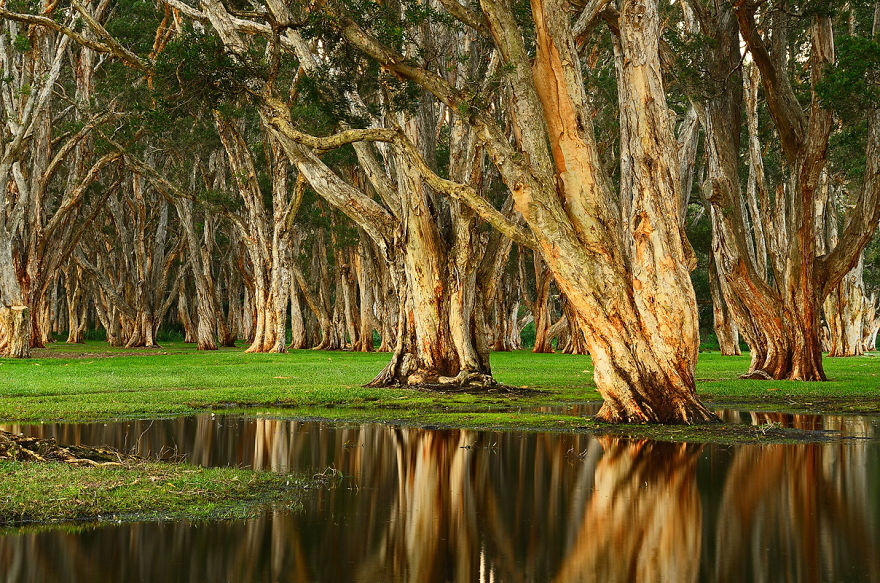 Landscape Photography In Sydney