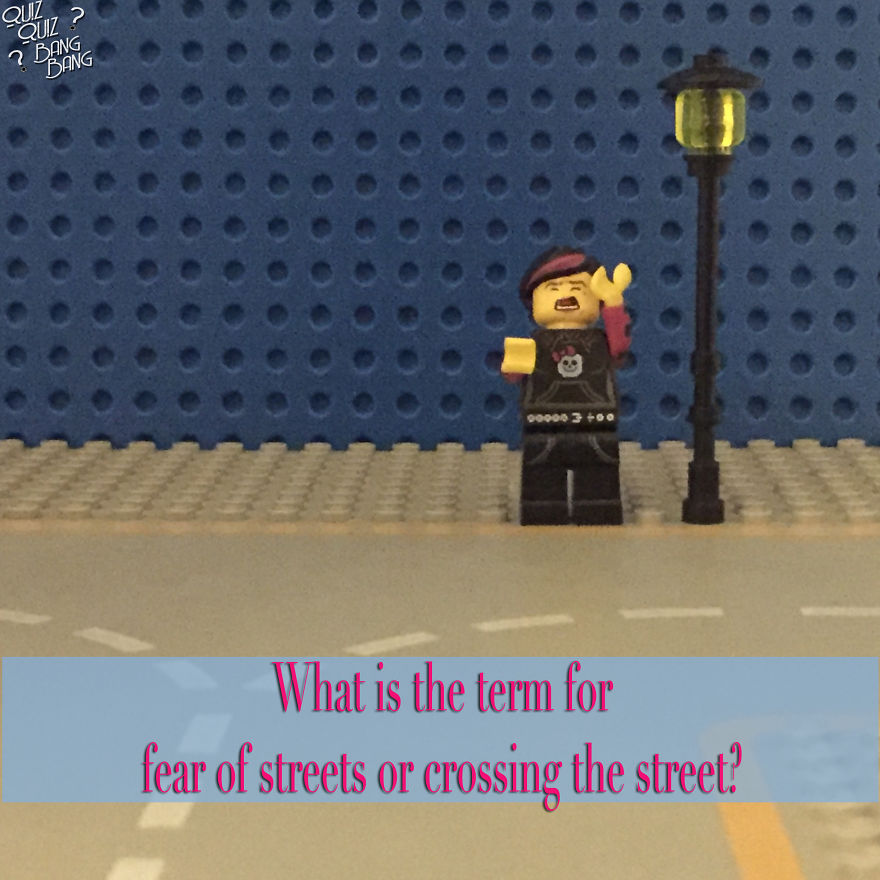 Legos Plus Trivia: The Combination You Never Knew You Needed! Legos Plus Trivia: The Combination You Never Knew You Needed!