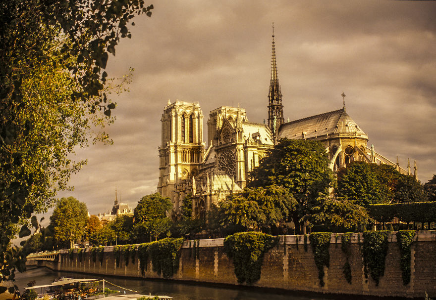 Notre Dame Will Rise Again From The Ashes ! Notre Dame Will Rise Again From The Ashes !