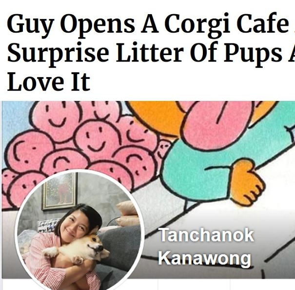 Screenshot_2019-05-07-Guy-Opens-A-Corgi-Cafe-After-A-Surprise-Litter-Of-Pups-And-People-Love-It-5cd1b519c9098.jpg