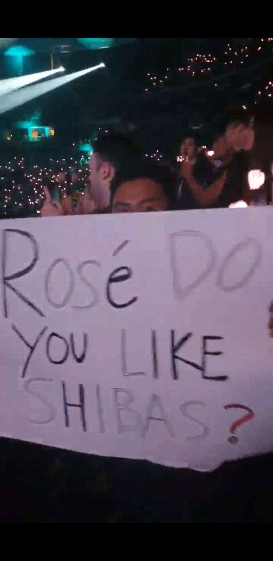 Ros&eacute; Likes Shibas!