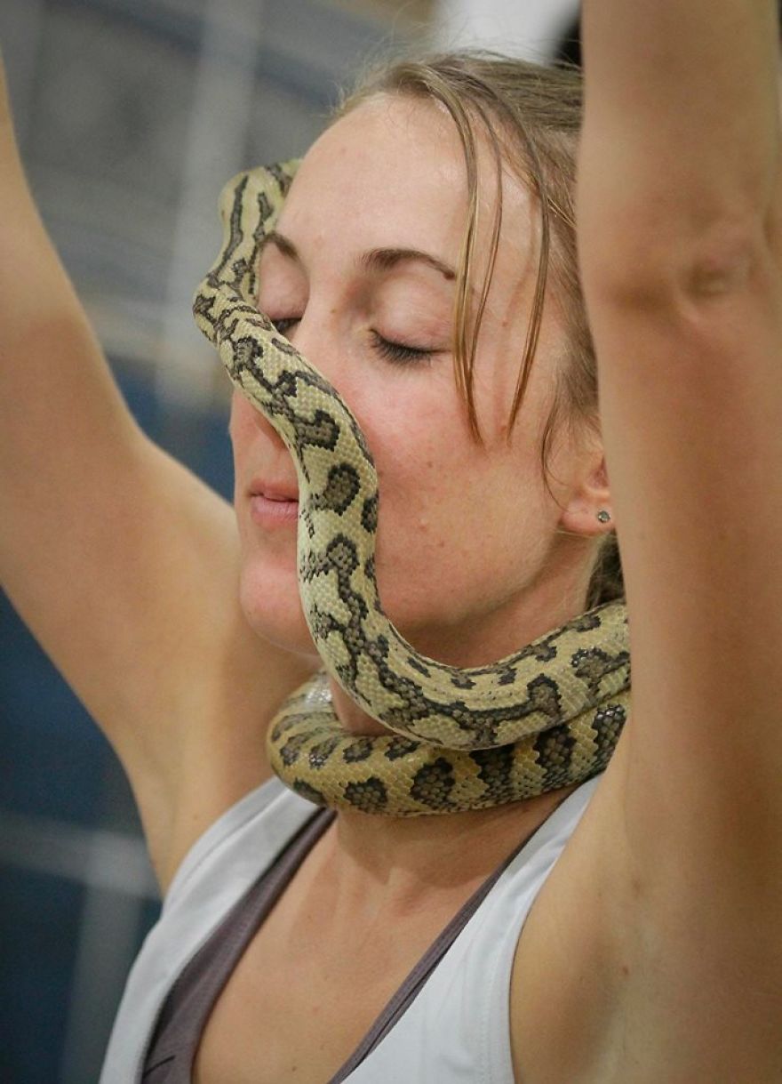 The Joy Of (Snake) Yoga