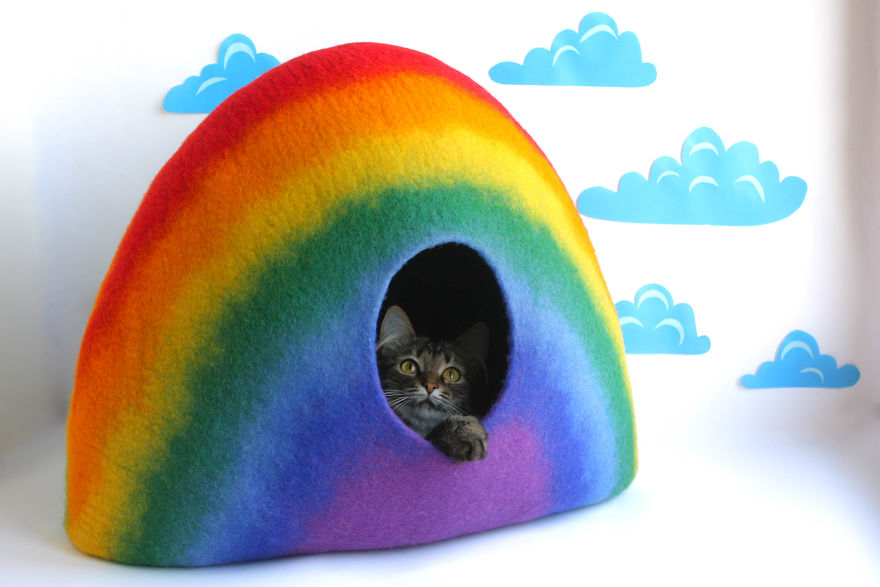 Rainbow Cat Bed