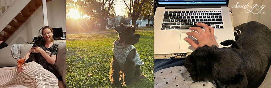 When You Ask Your Baby Photographer Friend To Dogsit For You. When You Ask Your Baby Photographer Friend To Dogsit For You.