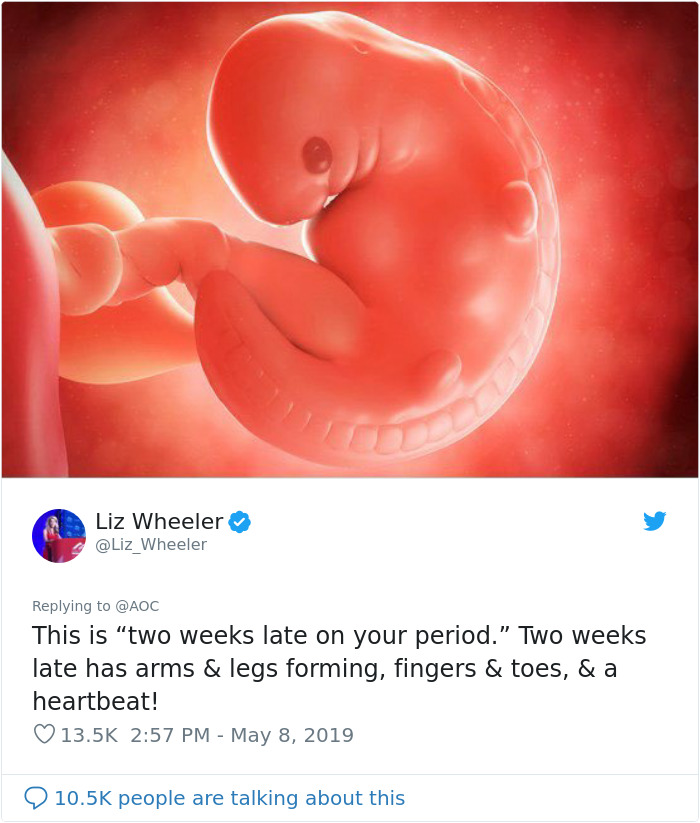 Woman Posts Pic Of 6-Week-Old Embryo To Shame Pro-Choicers, One Of Them Responds With Scientific Facts On What Makes Us Human