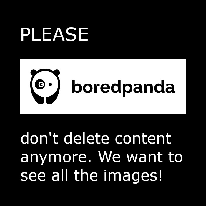 Bored Panda Petition Update