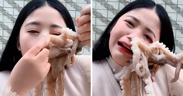 Octopus Attacks Woman That Tried To Eat It Alive