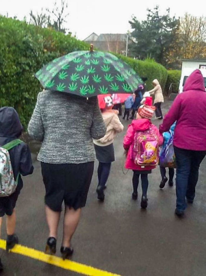 My Cousin Saw A 70-Year-Old Grandmother Open This Umbrella While Dropping Off Her Grandson At School