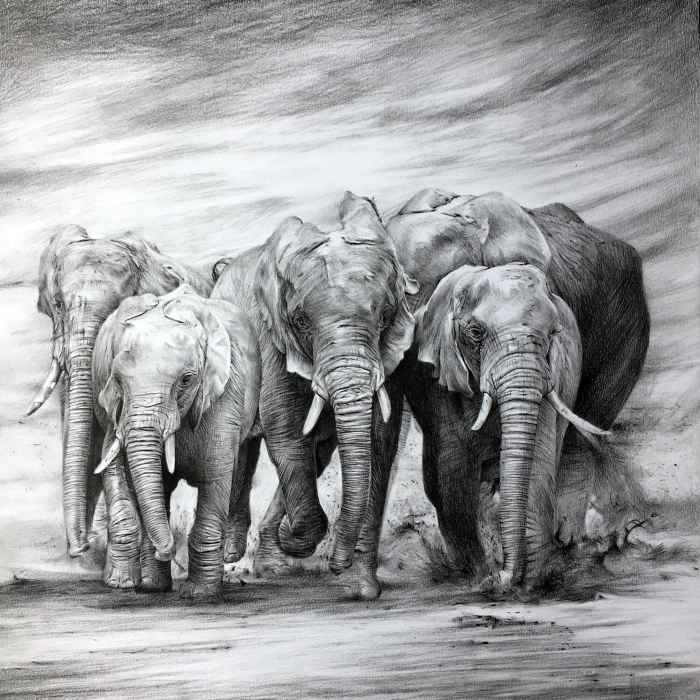 One Pen And One Month Later: Drawing My 5 Elephants