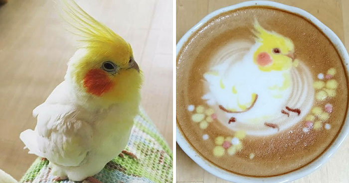 30 Pics Of Amazing Bird Latte Art By Japanese Artist