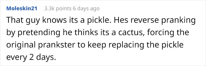 Guy Gets Pranked With A Fake 'Cactus' That's Actually A Pickle His Colleagues Replace Every 2 Days