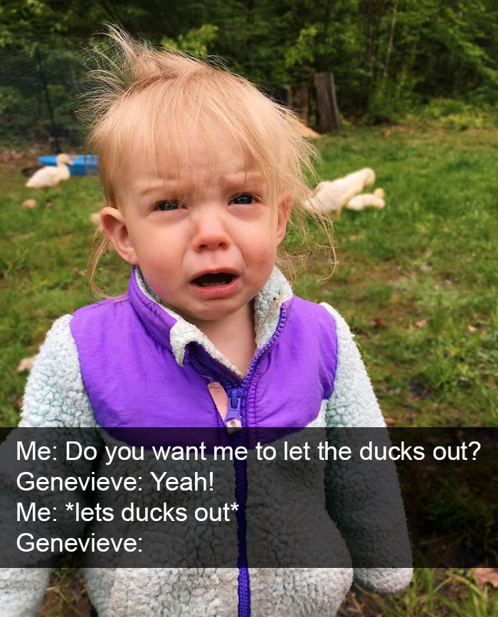 Do You Want Me To Let The Ducks Out?