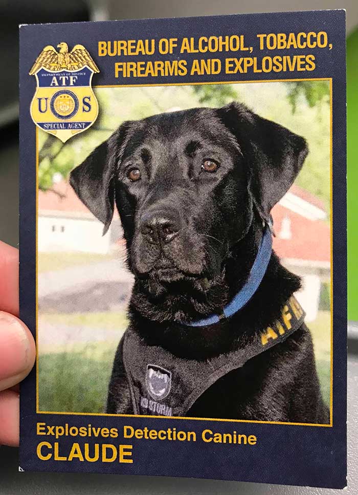 Este perro detector de explosivos tiene su propia tarjeta