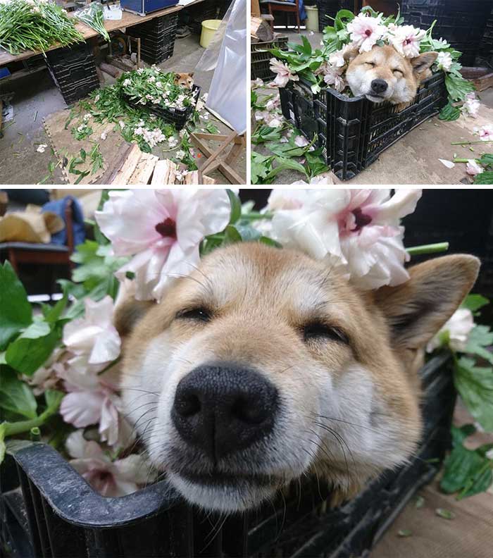 El ayudante de la floristería tomando un descanso