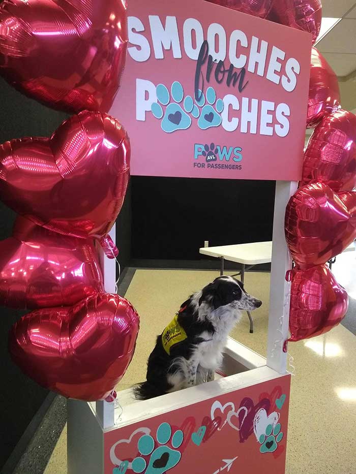 Meet Hope! She Gave Kisses And Candy At The Airport On Valentine's Day