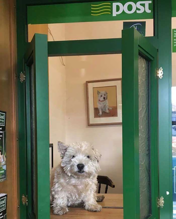 Barney, asistente en una oficina de correos irlandesa