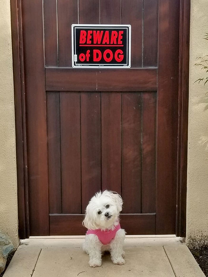 Mom Put This Sign On Our Gate, Dad Said It's False Advertising. Look At Me, Would I Not Put Fear In The Heart Of Anyone Who Tried To Enter?