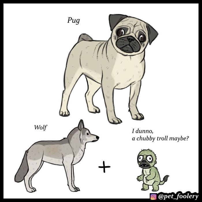 Artist Imagines The Origins Of 'Unique Dog Breeds' And They're Ridiculously Hilarious