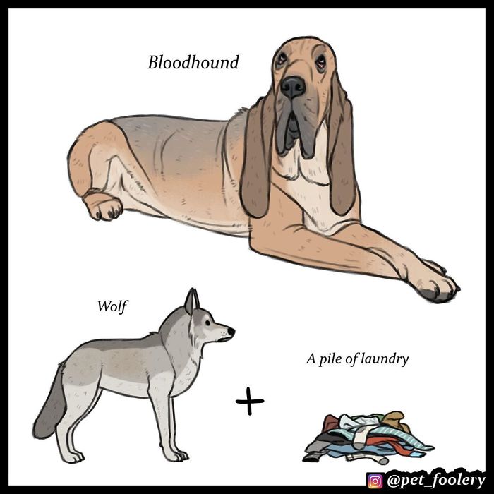 Artist Imagines The Origins Of 'Unique Dog Breeds' And They're Ridiculously Hilarious
