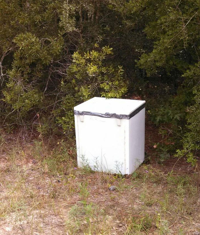 You Find A Freezer In The Woods, Duct Taped Shut. Do You Open It?