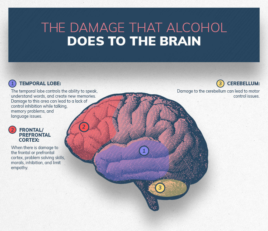 Illustrations Show The Damage Drugs And Alcohol Abuse Can Do To The Brain