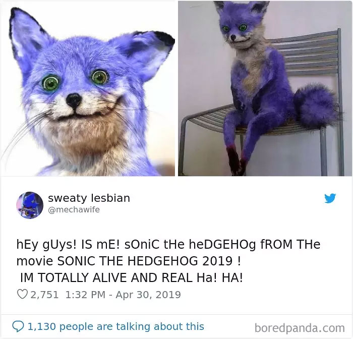 Sonic Memes