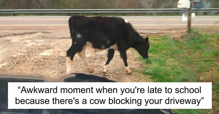 30 Memes That Summarize What Living In A Small Town Is Like