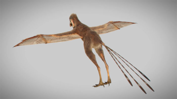 Scientists Just Discovered 163 Million-Year-Old Dinosaur Remains And Looks Like They Had Bat Wings