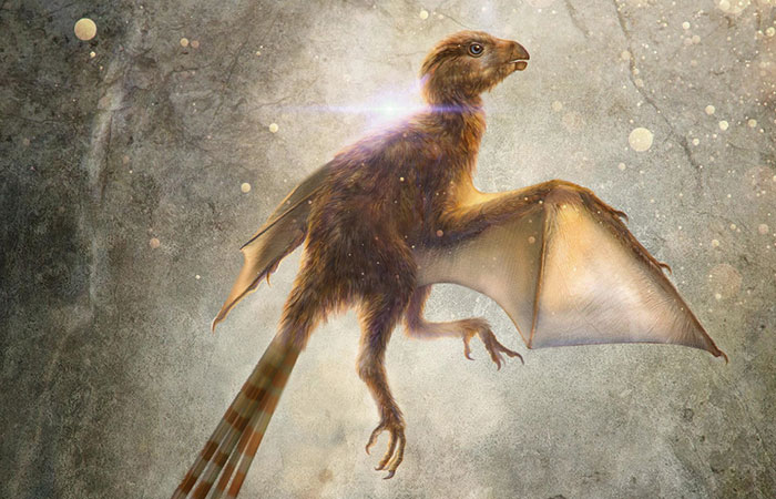 Scientists Just Discovered 163 Million-Year-Old Dinosaur Remains And Looks Like They Had Bat Wings