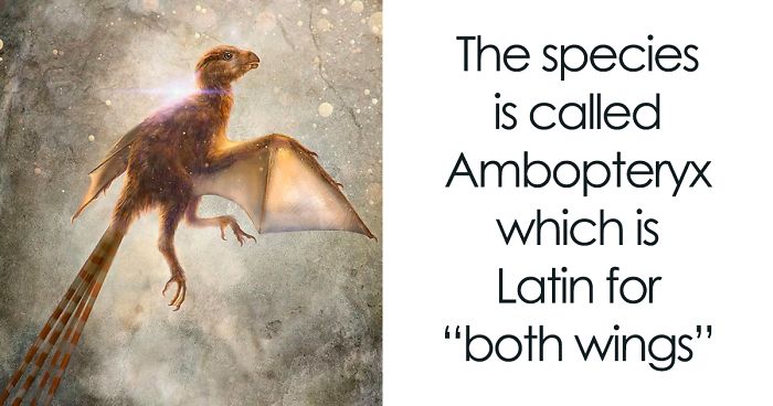 Scientists Just Discovered 163 Million Year Old Dinosaur Remains And 