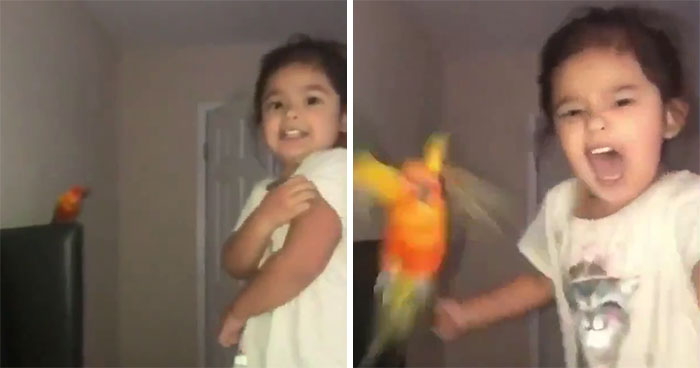 Girl Trains Her Bird To Attack People She Wants, And She Looks Like A Real Life Super Villain