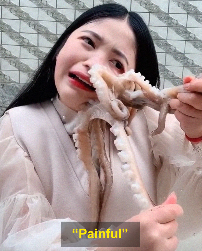 Octopus Attacks Woman That Tried To Eat It Alive | Bored Panda