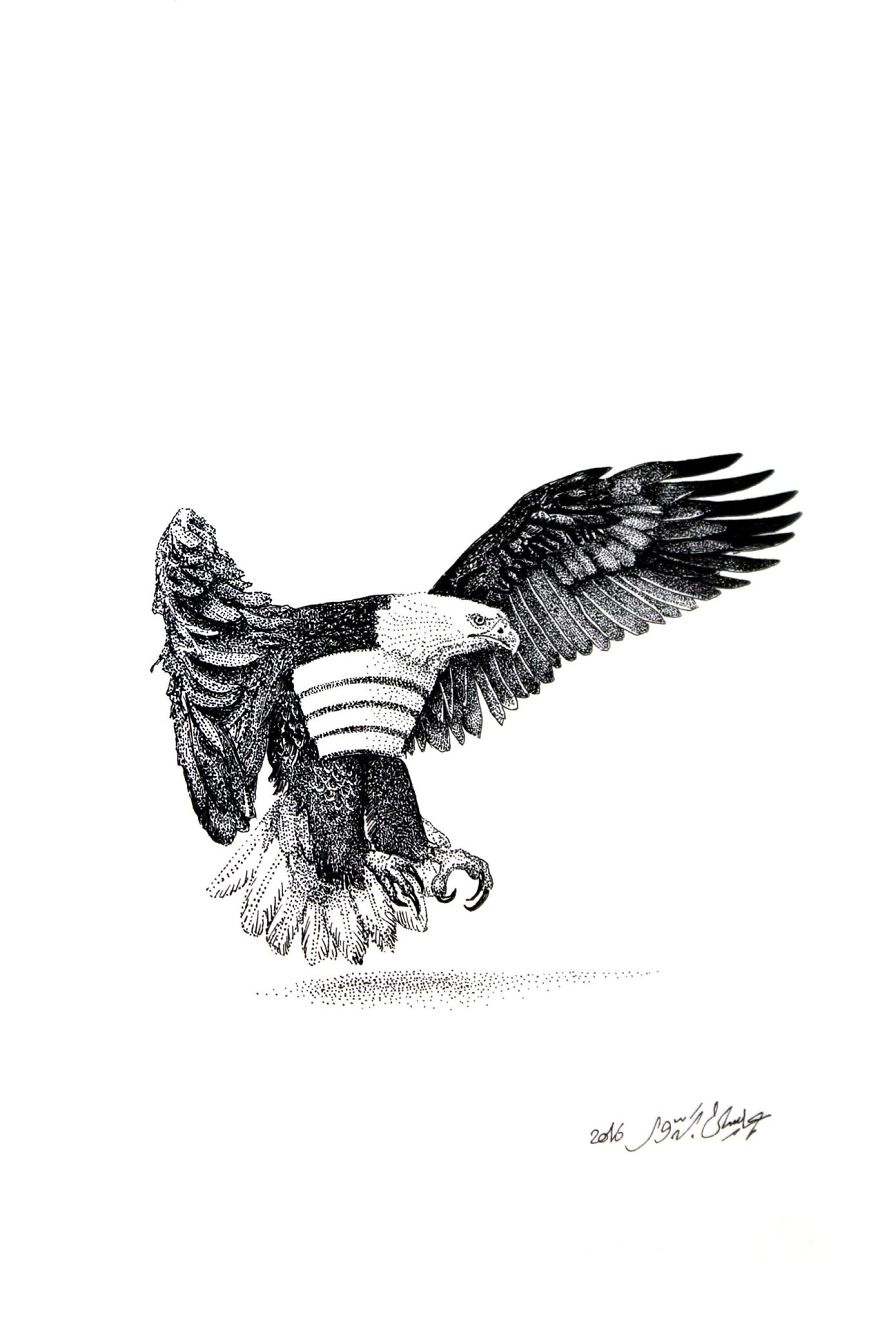 Eagle, USA