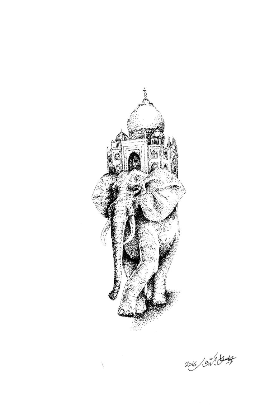 Elephant, India