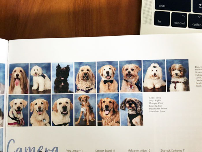 This School Dedicated A Yearbook Page To The Parkland Shooting Survivors’ Therapy Dogs