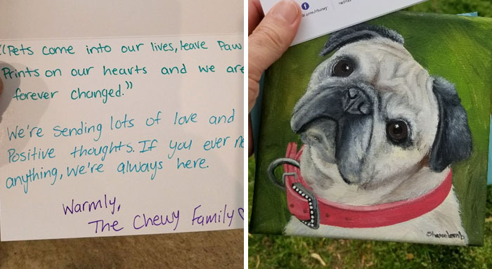 Man Asks Chewy For A Refund On Dog Food After His Dog Passes Away, Gets An Oil Painting With A Message